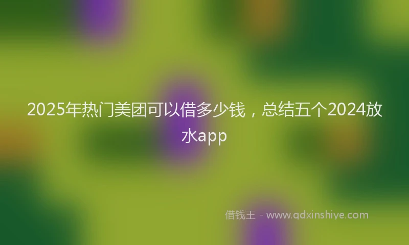 2025年热门美团可以借多少钱，总结五个2024放水app