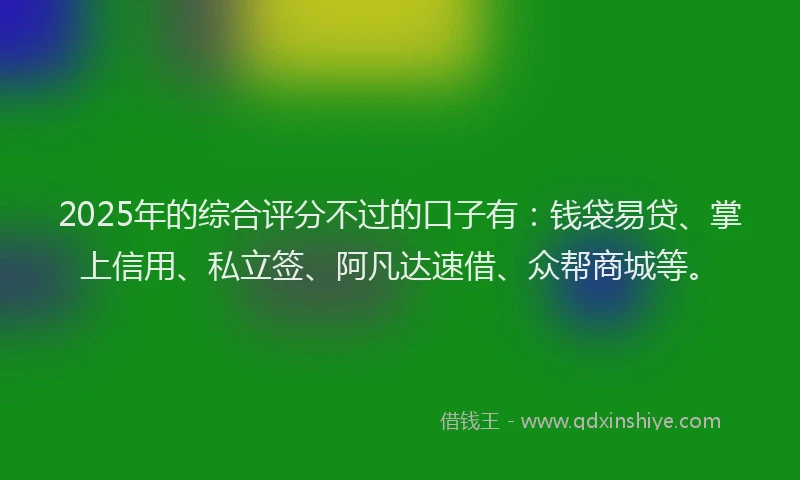 2025年的综合评分不过的口子有：钱袋易贷、掌上信用、私立签、阿凡达速借、众帮商城等。