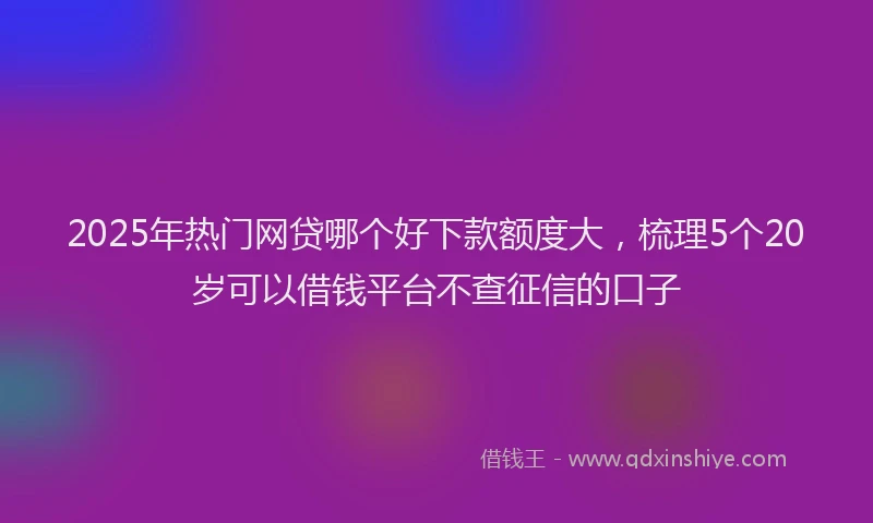 2025年热门网贷哪个好下款额度大，梳理5个20岁可以借钱平台不查征信的口子