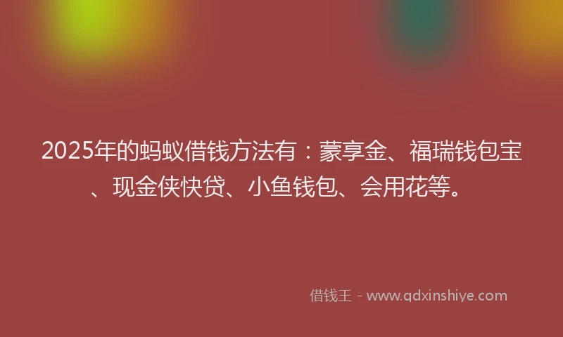 2025年的蚂蚁借钱方法有：蒙享金、福瑞钱包宝、现金侠快贷、小鱼钱包、会用花等。