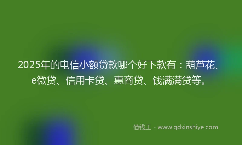 2025年的电信小额贷款哪个好下款有：葫芦花、e微贷、信用卡贷、惠商贷、钱满满贷等。