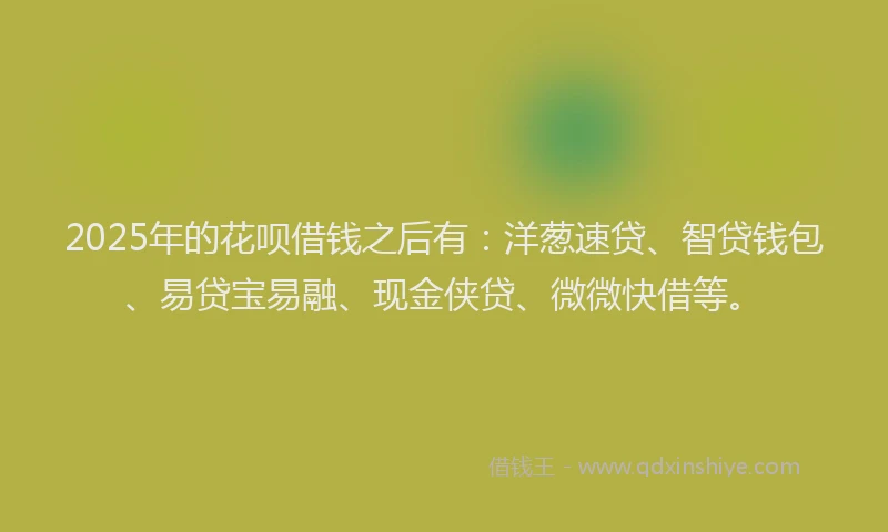 2025年的花呗借钱之后有：洋葱速贷、智贷钱包、易贷宝易融、现金侠贷、微微快借等。