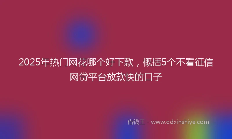 2025年热门网花哪个好下款，概括5个不看征信网贷平台放款快的口子