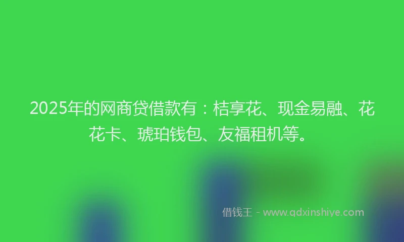 2025年的网商贷借款有：桔享花、现金易融、花花卡、琥珀钱包、友福租机等。