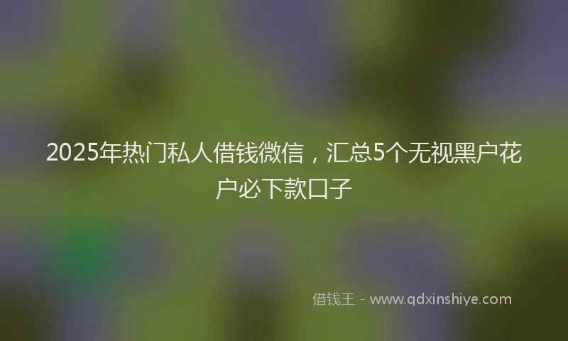 2025年热门私人借钱微信，汇总5个无视黑户花户必下款口子
