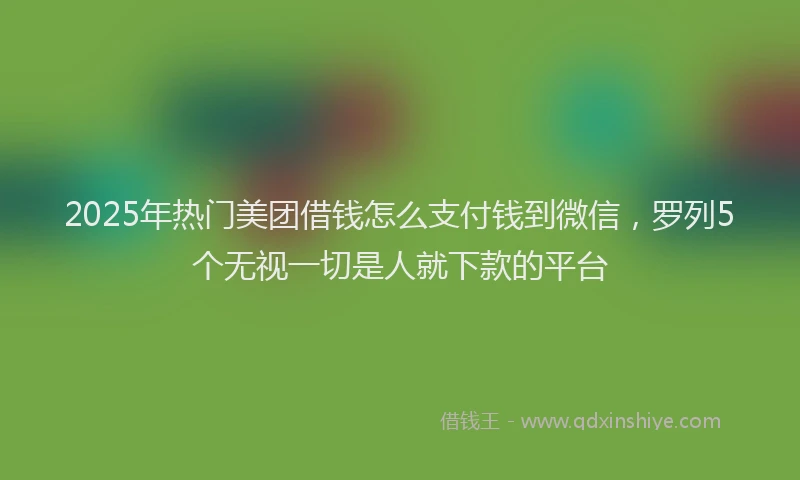 2025年热门美团借钱怎么支付钱到微信，罗列5个无视一切是人就下款的平台