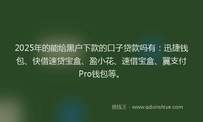 2025年的能给黑户下款的口子贷款吗有：迅捷钱包、快借速贷宝盒、盈小花、速借宝盒、翼支付Pro钱包等。