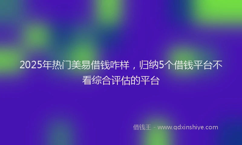 2025年热门美易借钱咋样，归纳5个借钱平台不看综合评估的平台
