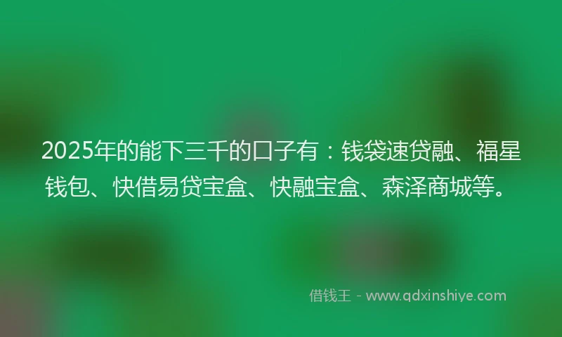 2025年的能下三千的口子有：钱袋速贷融、福星钱包、快借易贷宝盒、快融宝盒、森泽商城等。