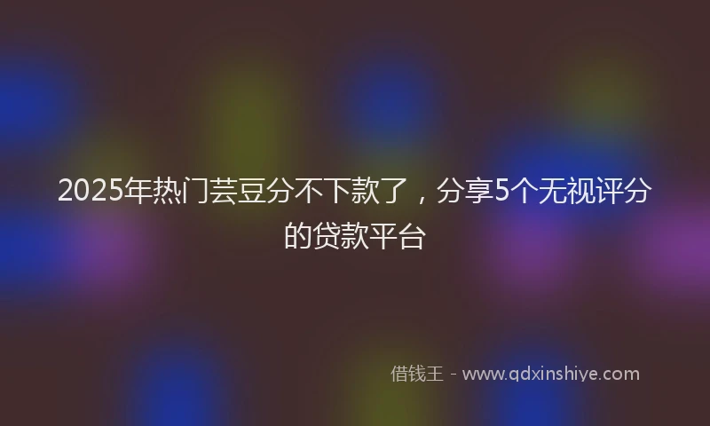 2025年热门芸豆分不下款了，分享5个无视评分的贷款平台