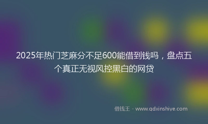 2025年热门芝麻分不足600能借到钱吗，盘点五个真正无视风控黑白的网贷