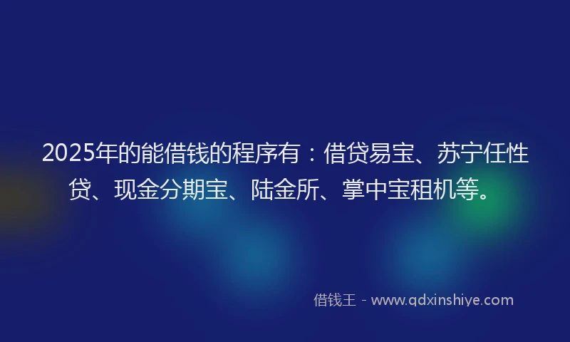 2025年的能借钱的程序有：借贷易宝、苏宁任性贷、现金分期宝、陆金所、掌中宝租机等。