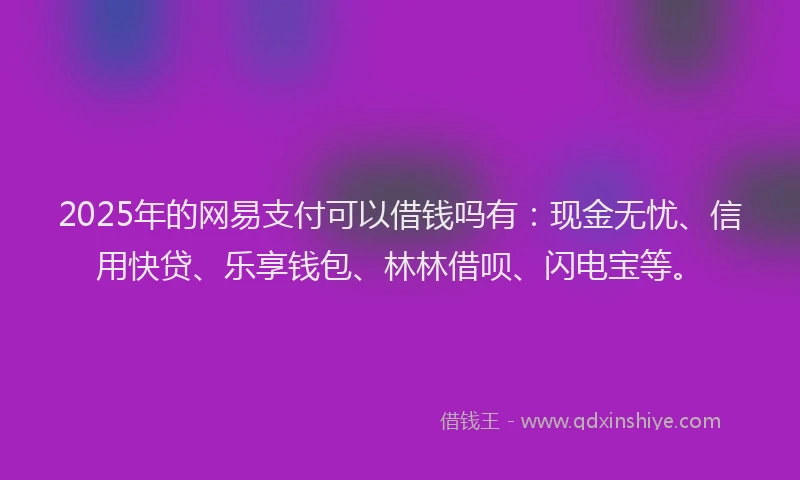 2025年的网易支付可以借钱吗有：现金无忧、信用快贷、乐享钱包、林林借呗、闪电宝等。