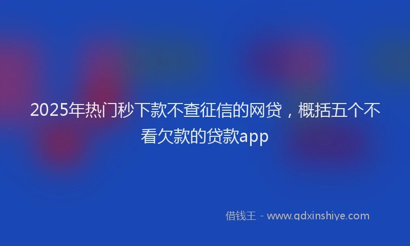 2025年热门秒下款不查征信的网贷，概括五个不看欠款的贷款app