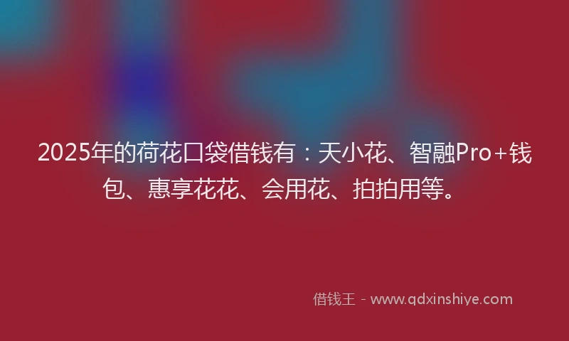 2025年的荷花口袋借钱有：天小花、智融Pro+钱包、惠享花花、会用花、拍拍用等。