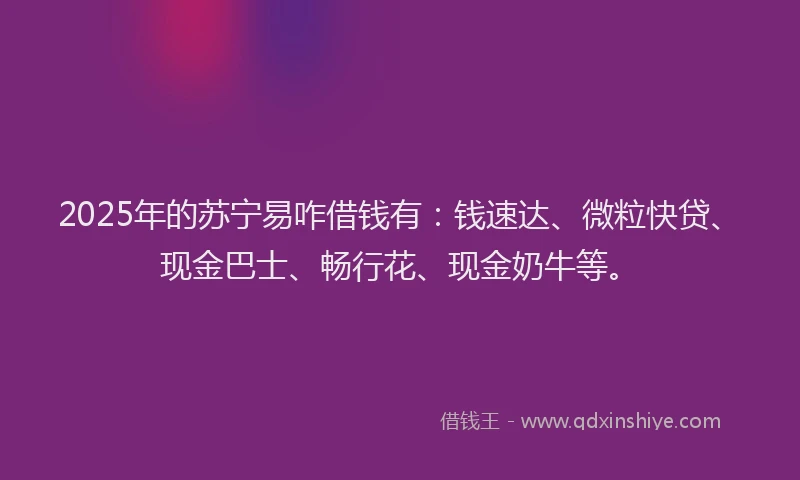 2025年的苏宁易咋借钱有：钱速达、微粒快贷、现金巴士、畅行花、现金奶牛等。