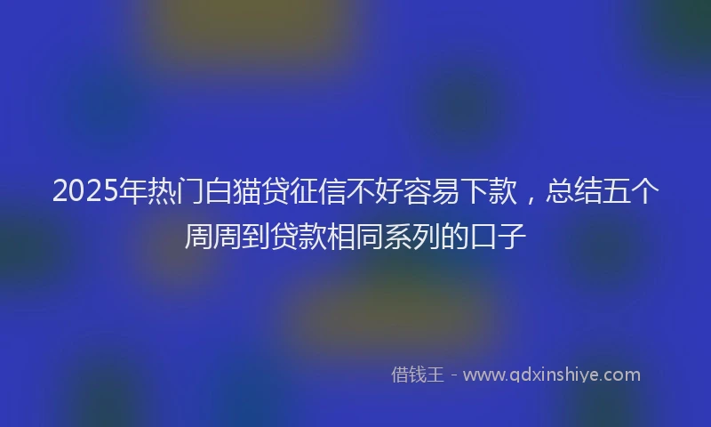 2025年热门白猫贷征信不好容易下款，总结五个周周到贷款相同系列的口子