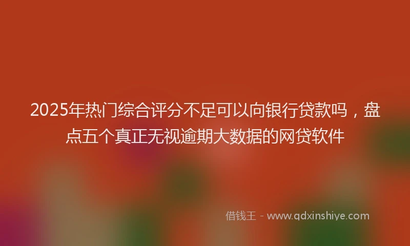 2025年热门综合评分不足可以向银行贷款吗，盘点五个真正无视逾期大数据的网贷软件