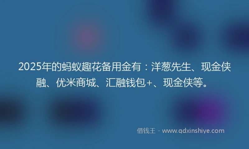 2025年的蚂蚁趣花备用金有：洋葱先生、现金侠融、优米商城、汇融钱包+、现金侠等。