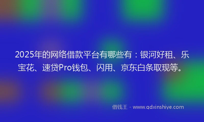 2025年的网络借款平台有哪些有：银河好租、乐宝花、速贷Pro钱包、闪用、京东白条取现等。