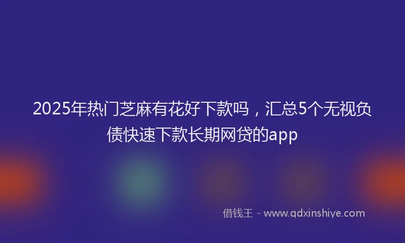 2025年热门芝麻有花好下款吗，汇总5个无视负债快速下款长期网贷的app