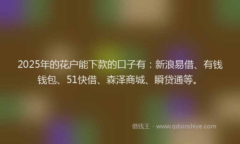 2025年的花户能下款的口子有：新浪易借、有钱钱包、51快借、森泽商城、瞬贷通等。