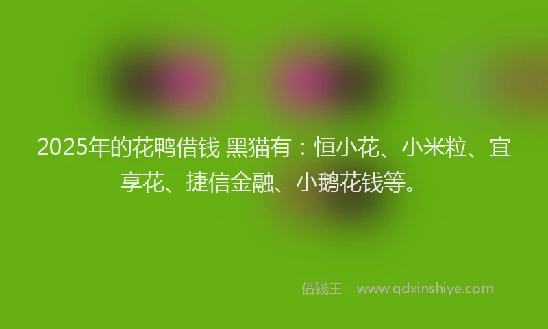 2025年的花鸭借钱 黑猫有：恒小花、小米粒、宜享花、捷信金融、小鹅花钱等。