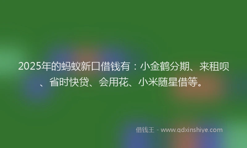 2025年的蚂蚁新口借钱有：小金鹤分期、来租呗、省时快贷、会用花、小米随星借等。