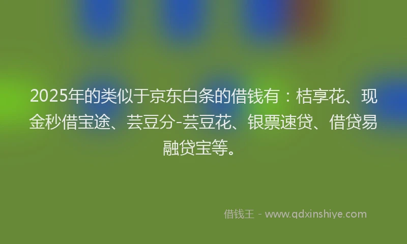 2025年的类似于京东白条的借钱有：桔享花、现金秒借宝途、芸豆分-芸豆花、银票速贷、借贷易融贷宝等。