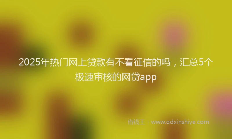 2025年热门网上贷款有不看征信的吗，汇总5个极速审核的网贷app