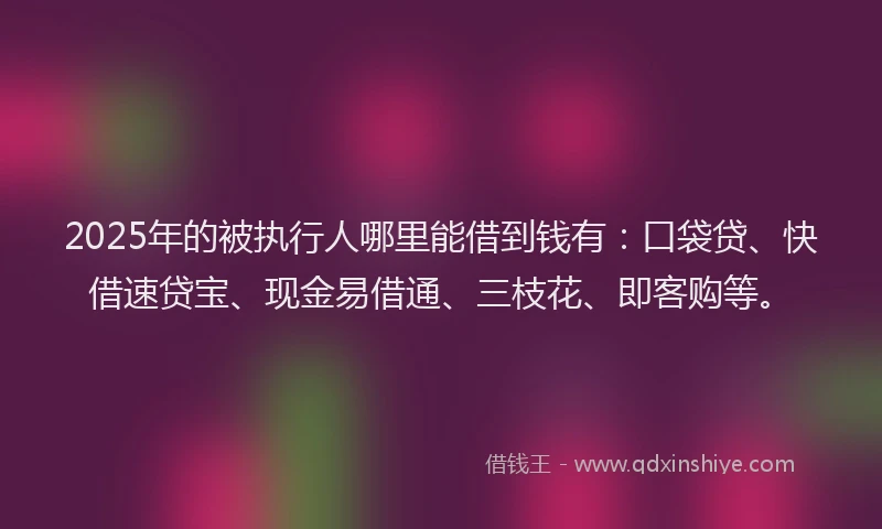 2025年的被执行人哪里能借到钱有：口袋贷、快借速贷宝、现金易借通、三枝花、即客购等。