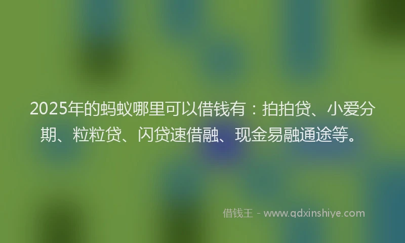 2025年的蚂蚁哪里可以借钱有：拍拍贷、小爱分期、粒粒贷、闪贷速借融、现金易融通途等。