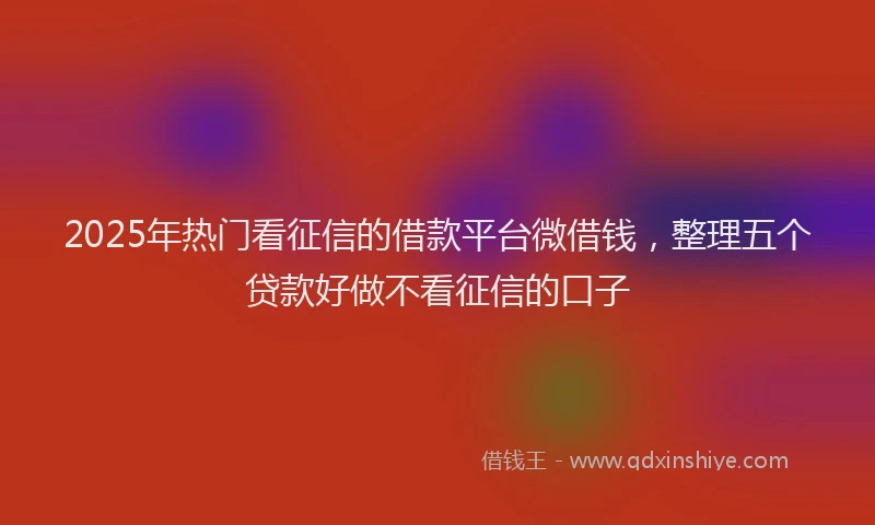 2025年热门看征信的借款平台微借钱，整理五个贷款好做不看征信的口子