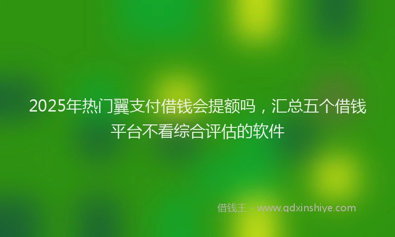 2025年热门翼支付借钱会提额吗，汇总五个借钱平台不看综合评估的软件