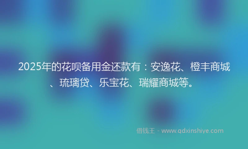 2025年的花呗备用金还款有：安逸花、橙丰商城、琉璃贷、乐宝花、瑞耀商城等。