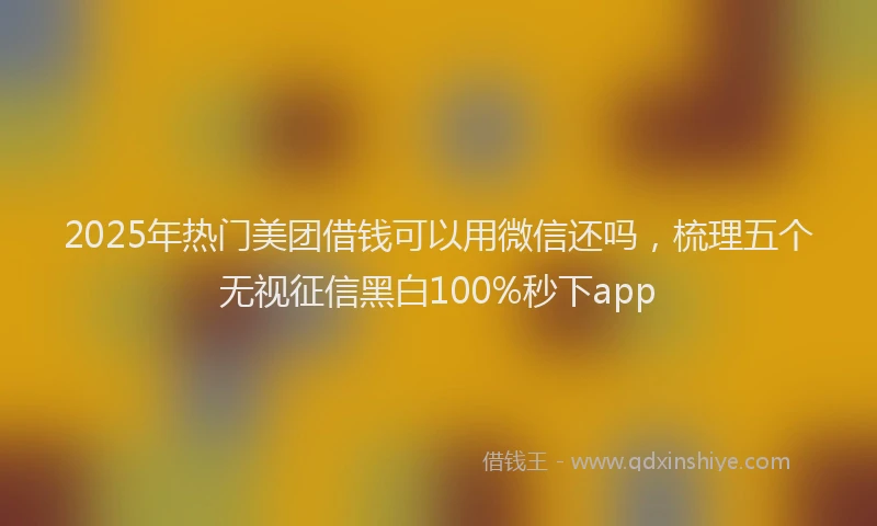 2025年热门美团借钱可以用微信还吗，梳理五个无视征信黑白100%秒下app