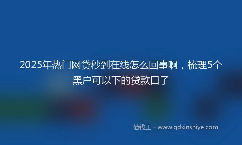 2025年热门网贷秒到在线怎么回事啊，梳理5个黑户可以下的贷款口子