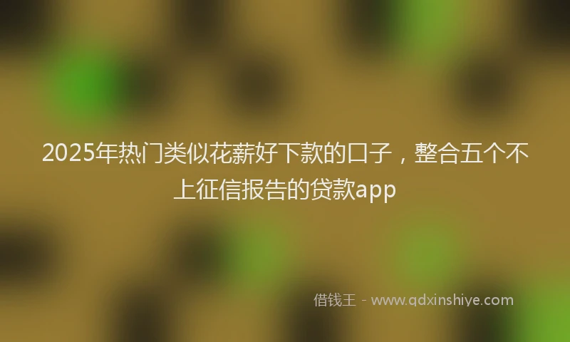 2025年热门类似花薪好下款的口子，整合五个不上征信报告的贷款app