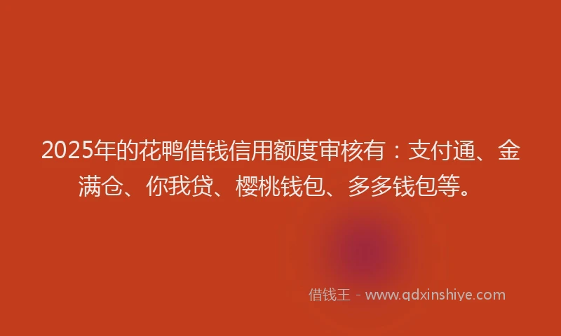 2025年的花鸭借钱信用额度审核有：支付通、金满仓、你我贷、樱桃钱包、多多钱包等。