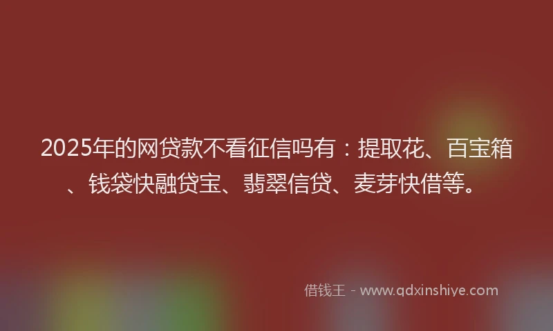 2025年的网贷款不看征信吗有：提取花、百宝箱、钱袋快融贷宝、翡翠信贷、麦芽快借等。