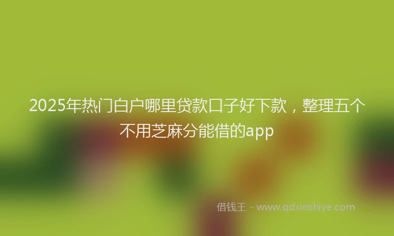2025年热门白户哪里贷款口子好下款，整理五个不用芝麻分能借的app