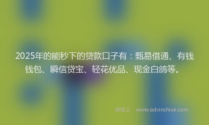 2025年的能秒下的贷款口子有：甄易借通、有钱钱包、瞬信贷宝、轻花优品、现金白鸽等。