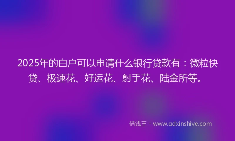 2025年的白户可以申请什么银行贷款有：微粒快贷、极速花、好运花、射手花、陆金所等。