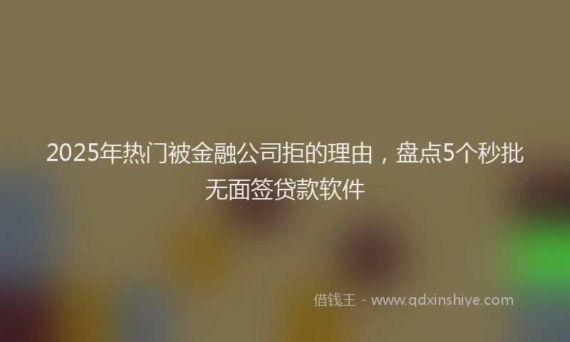 2025年热门被金融公司拒的理由，盘点5个秒批无面签贷款软件