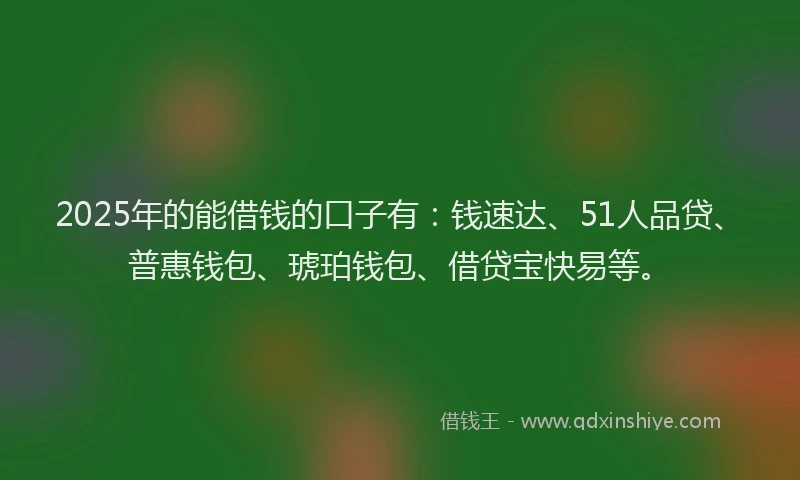 2025年的能借钱的口子有：钱速达、51人品贷、普惠钱包、琥珀钱包、借贷宝快易等。