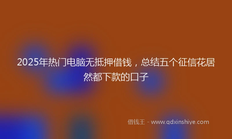 2025年热门电脑无抵押借钱，总结五个征信花居然都下款的口子
