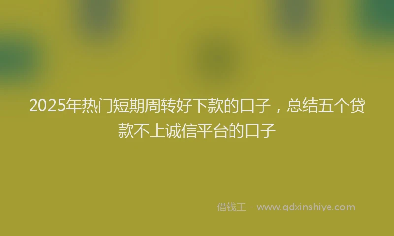 2025年热门短期周转好下款的口子，总结五个贷款不上诚信平台的口子