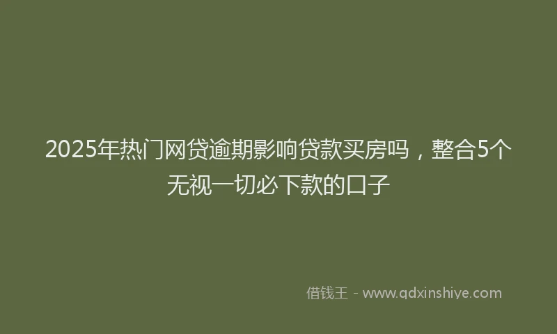 2025年热门网贷逾期影响贷款买房吗，整合5个无视一切必下款的口子
