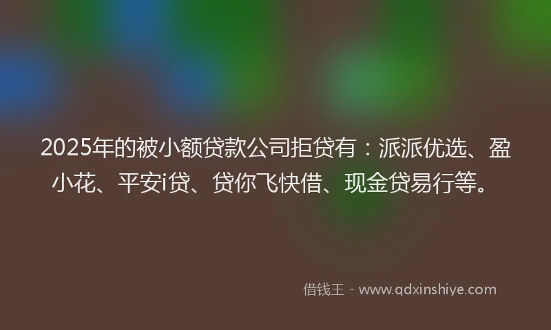 2025年的被小额贷款公司拒贷有：派派优选、盈小花、平安i贷、贷你飞快借、现金贷易行等。