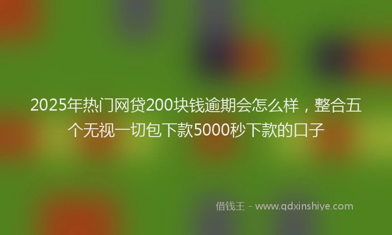 2025年热门网贷200块钱逾期会怎么样，整合五个无视一切包下款5000秒下款的口子